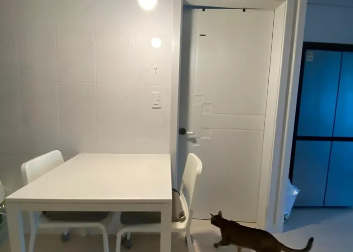 Glow House Seongsu A - Cozy And Brown Cat 외국인전용 *